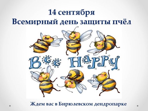 Открытки на тему пчелы (80 фото)