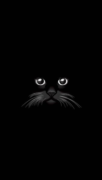 Кошка в темноте обои (41 фото)