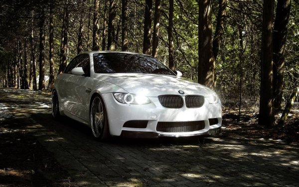BMW f10 белая в лесу