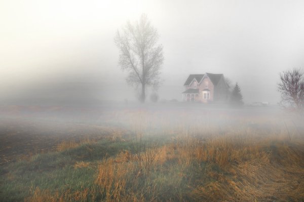 Туманная деревня