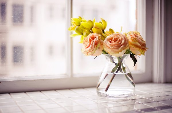 Обои красивые вазы с цветами (44 фото)