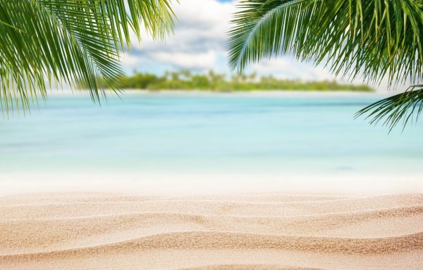 Обои моря с пальмами и с песком (42 фото)