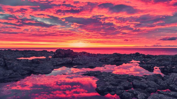 Обои цвета красного моря (44 фото)
