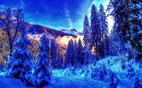 Зимние обои красивые природа (45 фото)