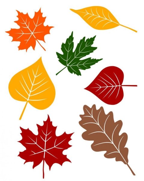 Аппликации метелка с осенними листьями (43 фото)