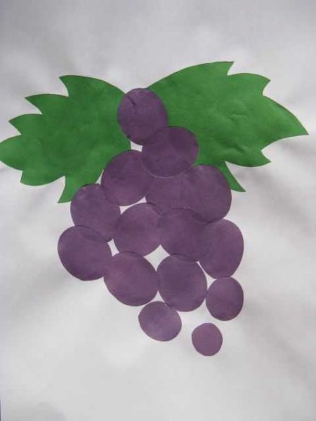Аппликации виноград из пластилина (43 фото)