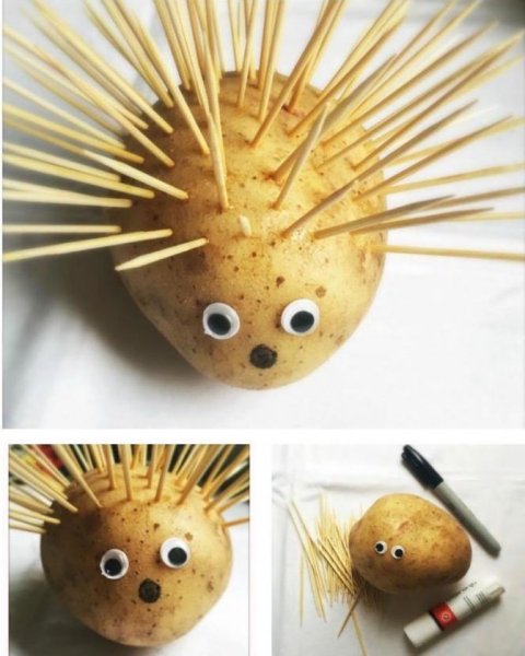 Поделки из картошки и спичек: идеи по изготовлению своими руками (45 фото)