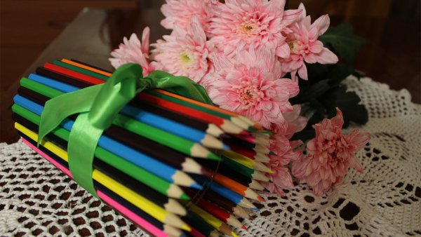 Поделки из цветных карандашей для учителя: идеи по изготовлению своими руками (43 фото)