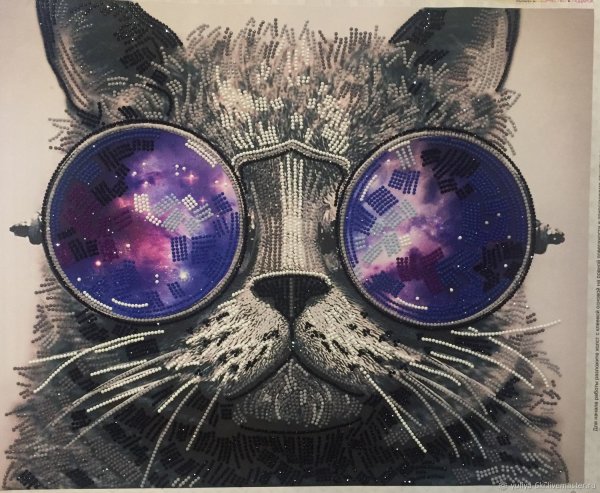 Рисунки кот в очках космос (41 фото)