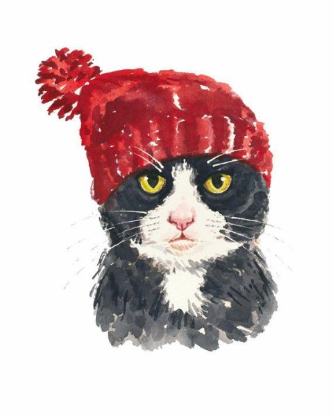 Рисунки кот в шапке (39 фото)