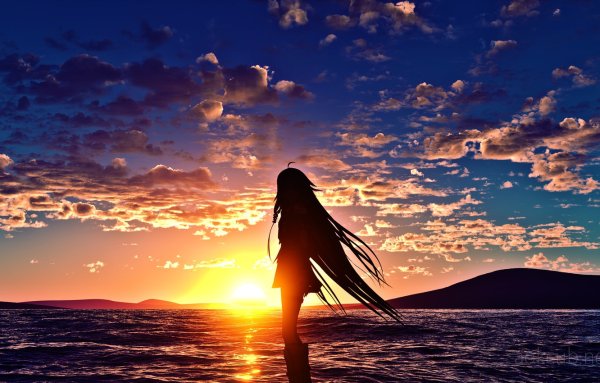 Силуэты на фоне заката у моря (39 фото)
