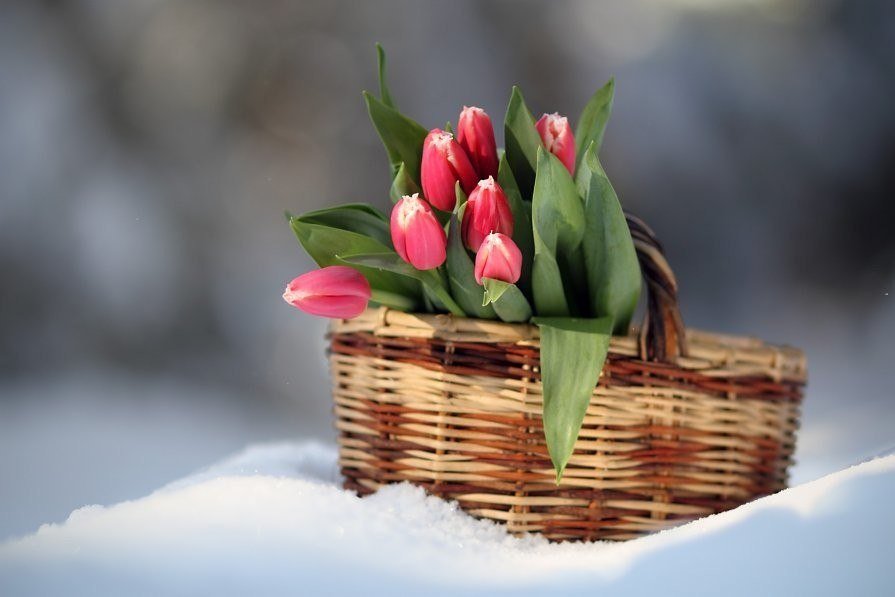 купить цветы с доставкой по Волгограду на сайте volgograd.rus-buket.ru