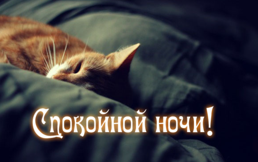 Картинки с надписями спокойной. Спокойной ночи с котиками и надписями. Спокойной ночи картинки с надписями. Котик желает спокойной ночи. Доброй ночи с котиками прикольные.