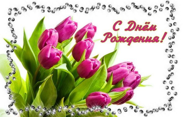 Картинки с днем рождения женщине красивые с тюльпанами (45 фото)