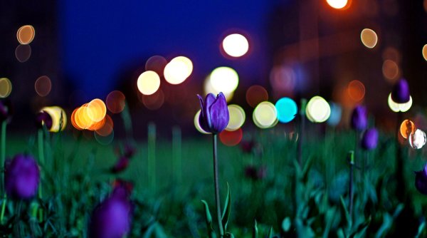 Цветная ночь картинки (48 фото)