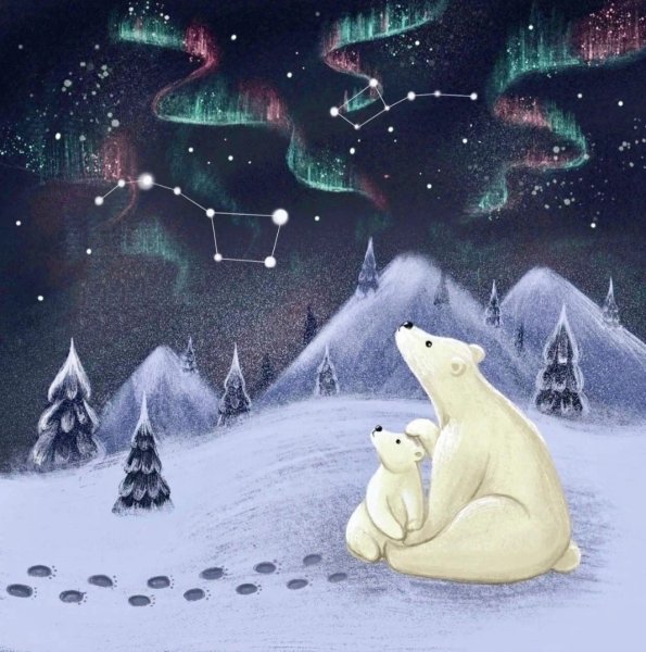 Белый медведь ночью картинки (47 фото)