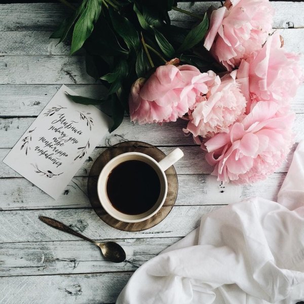 Картинки утро кофе девушка и цветы (44 фото)
