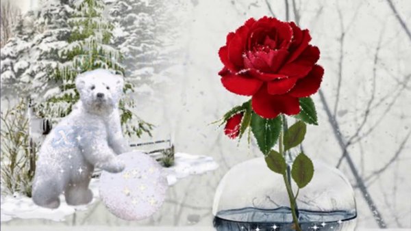 Картинки доброе утро красивые зимние с цветами (38 фото)