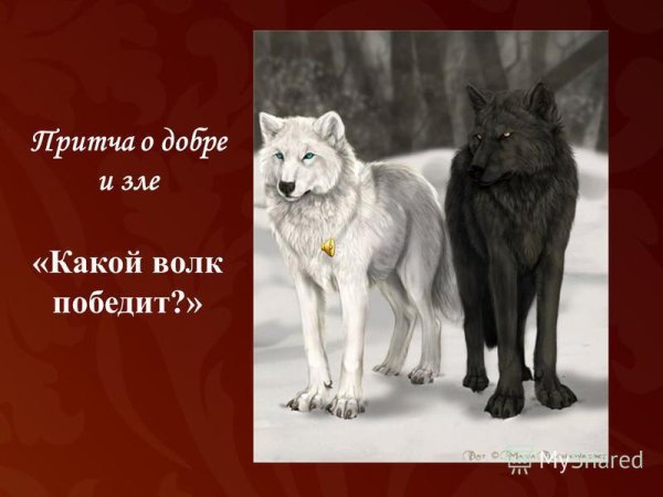 Иллюстрация к притче два волка (55 фото)