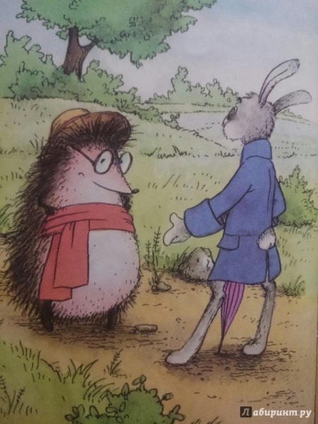 Еж и заяц толстой иллюстрации (54 фото)